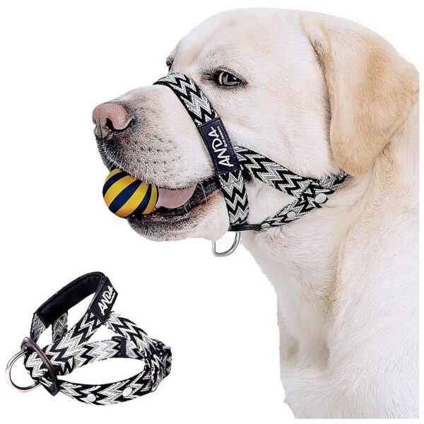 Pull Dog Headcollar for Small Breeds - Breathable Comfort and Control