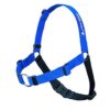 Pull Dog Training Harness in Blue for Extra Small Wide Breeds with Safe Design