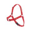 Pull Front-Leash Attachment Dog Harness for Small Breeds