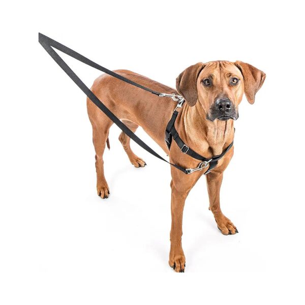 Pull Harness for Large Dogs with No-Pull Technology and Easy Walk