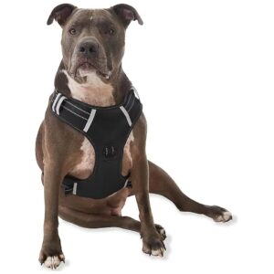 Pull Harness with Adjustable Design for Small to Large Dogs