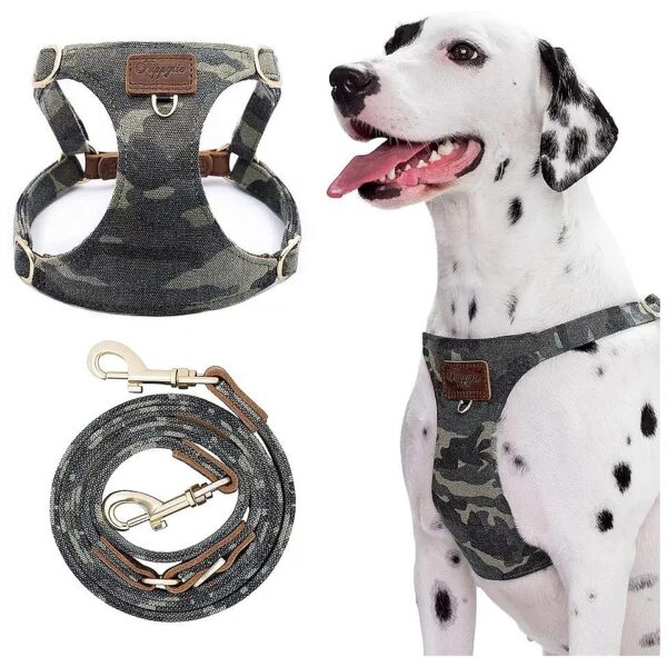 Pull No-Choke Medium Dog Harness with Multi-Functional Leash and Step-in Design