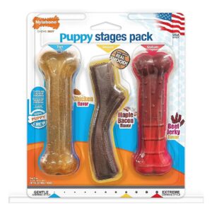 Puppy Chew Toy Collection for Small to Medium Dogs for Teething and Growth