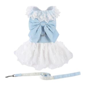 Puppy Dog Denim Dress with Leash Ring and Lace Mesh Skirt Pattern Light Blue Large