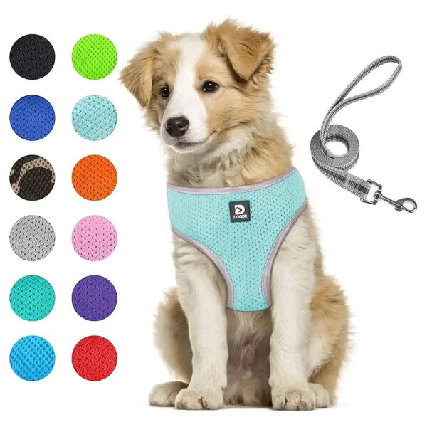 Puppy Harness and Leash Set for Dogs and Cats in Comfortable Mint Green