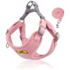 Puppy Harness and Leash Set for Small Dog Medium Pink NO Pull Soft Mesh Comfort Fit