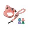 Puppy Harness with Leash for Small Dogs - Safe and Easy Walking