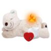 Puppy Soothing Heartbeat Plush Toy for Crate Training and Anxiety Relief