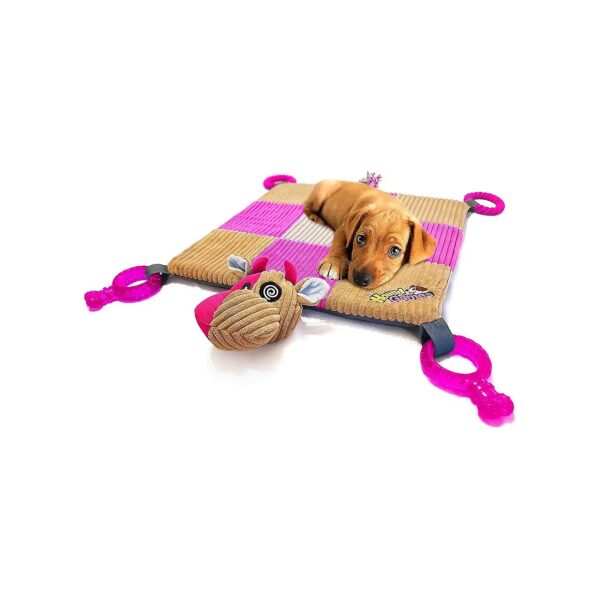 Puppy Teething Toy Mat for Healthy Teeth and Gums with Squeaker and Chew Ropes