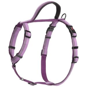 Puppy Walking Harness with Reflective Features and Adjustable Strap for Small Dogs