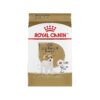 Purebred Jack Russell Terrier Adult Dry Dog Food for Optimal Health and Wellbeing