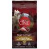 Purina ONE Natural Dog Food with Vitamins and Minerals for Strong Immune System