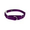 Purple Adjustable Nylon Martingale Collar with Buckle - Soft Comfy Fit for Medium Dogs