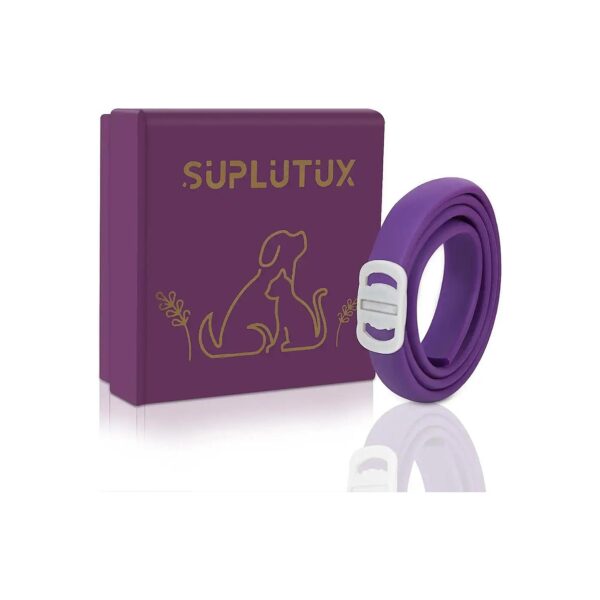 Purple, Adjustable, Silicone, Effective Anxiety Relief for Dogs