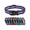 Purple Dog Collar with Reflective Accents for Medium-Sized Dogs