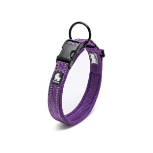 Purple Dog Collar with Soft Neoprene Padded and Adjustable Strap for Relaxing Dog Wear