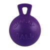 Purple Dog Toys 5 Inch Heavy Duty Chew Ball with Handle for Medium Large Breeds