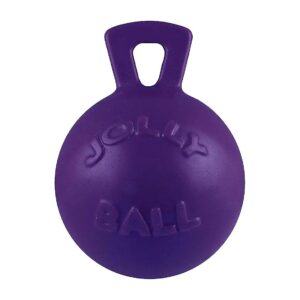 Purple Dog Toys 5 Inch Heavy Duty Chew Ball with Handle for Medium Large Breeds