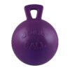 Purple Horse Jolly Ball for Stall Boredom Relief