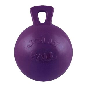 Purple Horse Jolly Ball for Stall Boredom Relief