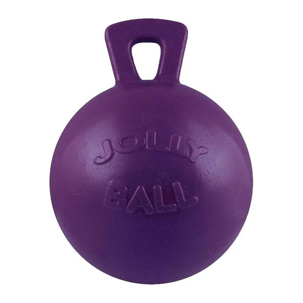 Purple Horse Jolly Ball for Stall Boredom Relief