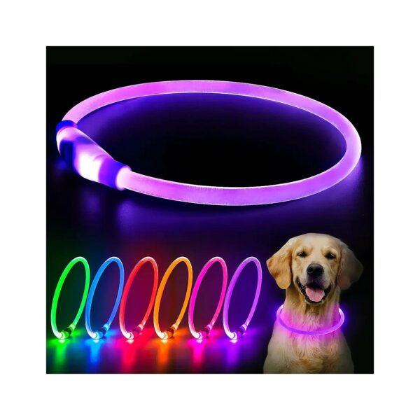 Purple LED Dog Collar with Cuttable Water-Resistant TPU for Small Medium Large Breeds