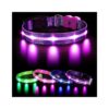 Purple LED Glow Dog Collar for Small, Medium, Large Dogs with 3 Size Options