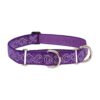 Purple Martingale Collar for Medium to Large Breed Dogs