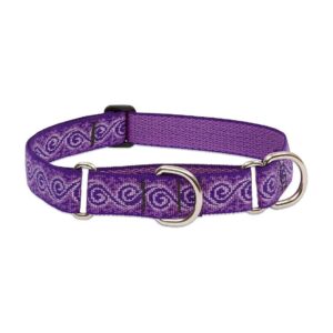 Purple Martingale Collar for Medium to Large Breed Dogs