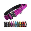 Purple Nylon Dog Collar with Quick Release Metal Buckle for Small to Extra Large Dogs