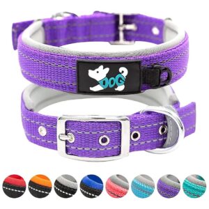 Purple Nylon Dog Collar with Soft Padded and Adjustable Size for Small to Large Dogs