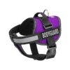 Purpose Dog Vest with Adjustable Straps and Built-in Control Handle, Small, Purple