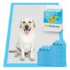 Purpose Pee Pads for Dogs and Cats with Extra Large Size and Quick Drying