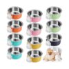 Purpose Pet Bowls for Dogs, Cats, and Small Animals