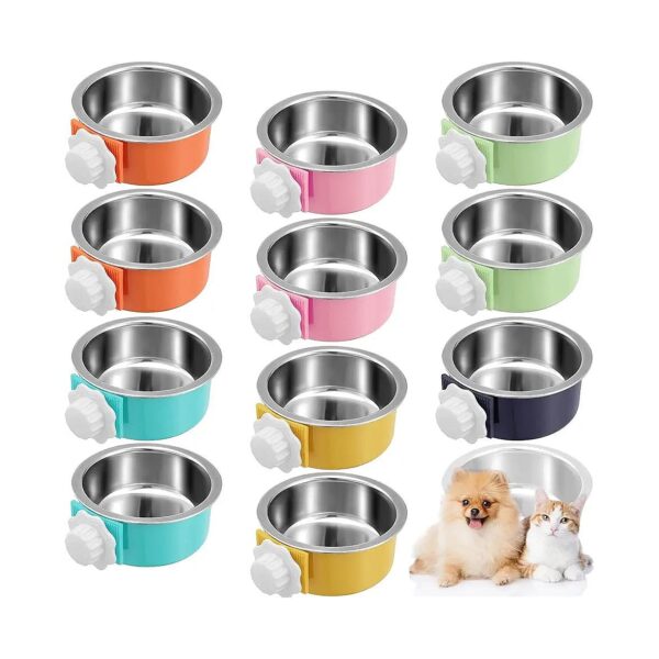 Purpose Pet Bowls for Dogs, Cats, and Small Animals