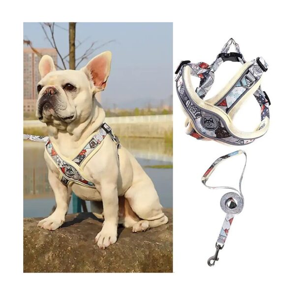 Purpose Reflective Dog No-Pull Harness with Leash for Walking and Training