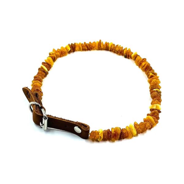 Quality Baltic Amber Dog Collar with Raw Knotted Beads and Adjustable Leather Strap