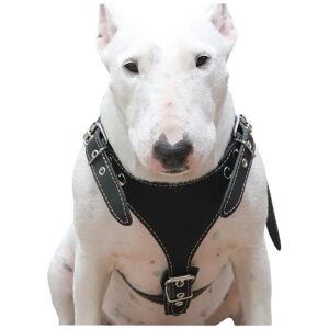 Quality Black Leather Dog Harness Chest 25-30 Adjustable Straps Medium