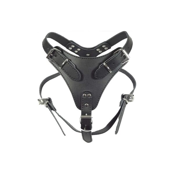 Quality Black Leather Dog Harness for Medium Breed Dogs 21-30 inches Chest