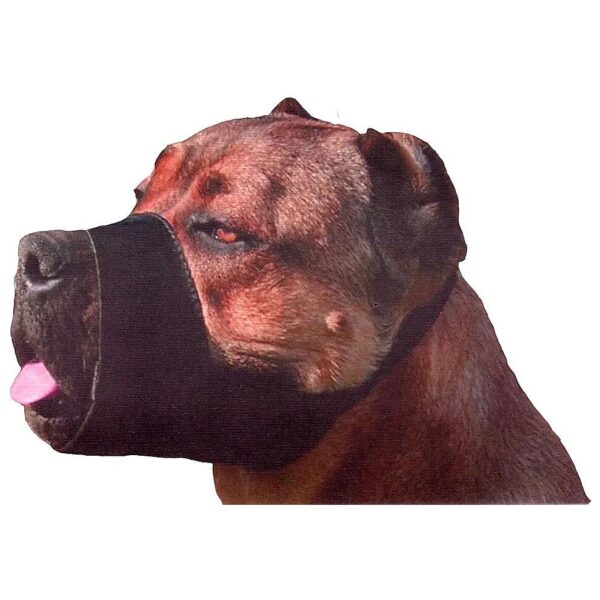 Quality Black Nylon Dog Muzzle for Medium Breed Snouts