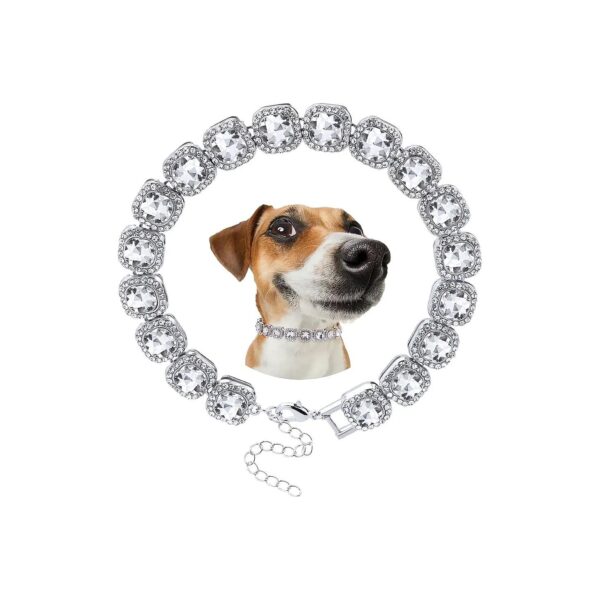 Quality Copper Chain Collar with Iced Out Crystal Stones for Small to Medium Puppies