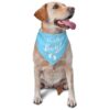 Quality Dog Bandanas with Soft and Lightweight Material, 2-Pack