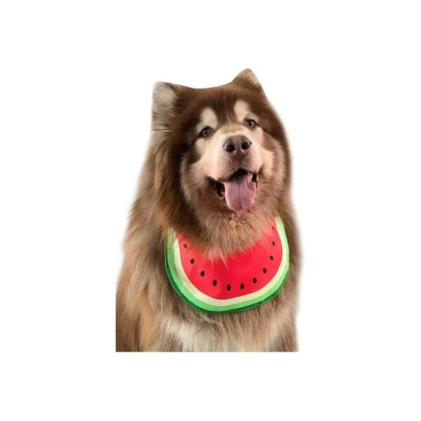 Quality Dog Bib with Watermelon Print for Medium & Large Dogs All-Season Use