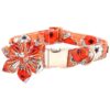 Quality Dog Collar for Small Dogs with Adjustable Buckle and Removable Flower