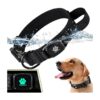 Quality Dog Collar with Waterproof AirTag Holder and Cobra Buckle for Active Dogs