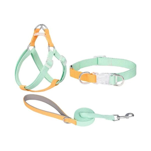 Quality Dog Harness Collar Leash Set with Padded Handle for Medium Size Dogs