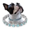 Quality Durable Pet Jewelry