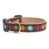 Quality Floral Pattern Dog Collar Small Size 9-15 Inches Narrow Width Adjustable