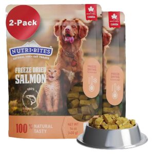 Quality Freeze-Dried Salmon Dog Food 2-Pack for Adult and Puppy Nutrition