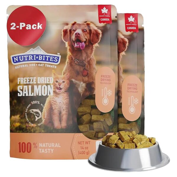 Quality Freeze-Dried Salmon Dog Food 2-Pack for Adult and Puppy Nutrition